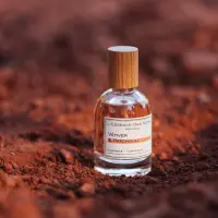 Vétiver & Patchouli - LEssence des Notes