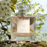 Acqua di Costanza Obstblüte Damen Parfum Flakon und...