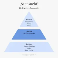 Duftpyramide des Parfums „Seensucht“ von Acqua di Costanza – mit Kopfnoten aus Bergamotte, Orange und Zitrone, einer fruchtigen Herznote und Basisnoten aus warmem Moschus, Ambra und süßer Vanille.