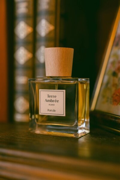 Der quadratische Parfümflakon Terre Ambrée von Poécile mit seinem Holzkorken, platziert auf einem Schrank vor einer verschwommenen Kulisse