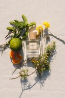 Poécile Été Immortel Eau de Parfum...